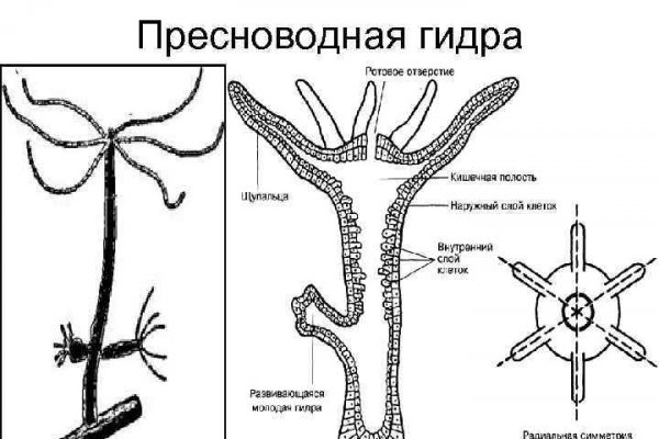 Ссылка кракен даркнет маркет vtor run